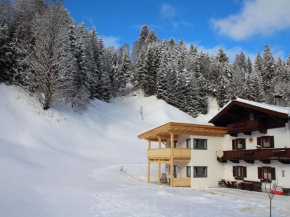 Nice Apartment in Kirchberg in Tyrol with Mountain View Kirchberg In Tirol